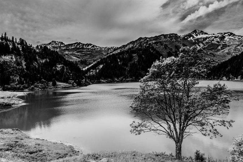 2017_06_09 (0038).jpg - Lac de St Guérin (Juin 2017)